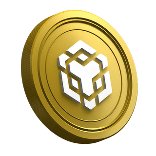BNB Binance coin featured on a new trader guide page